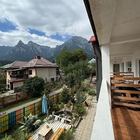 Hotel Casa David Buşteni Exteriér fotografie