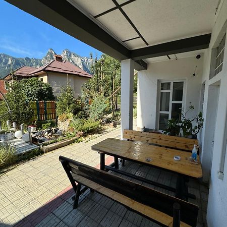 Hotel Casa David Buşteni Exteriér fotografie