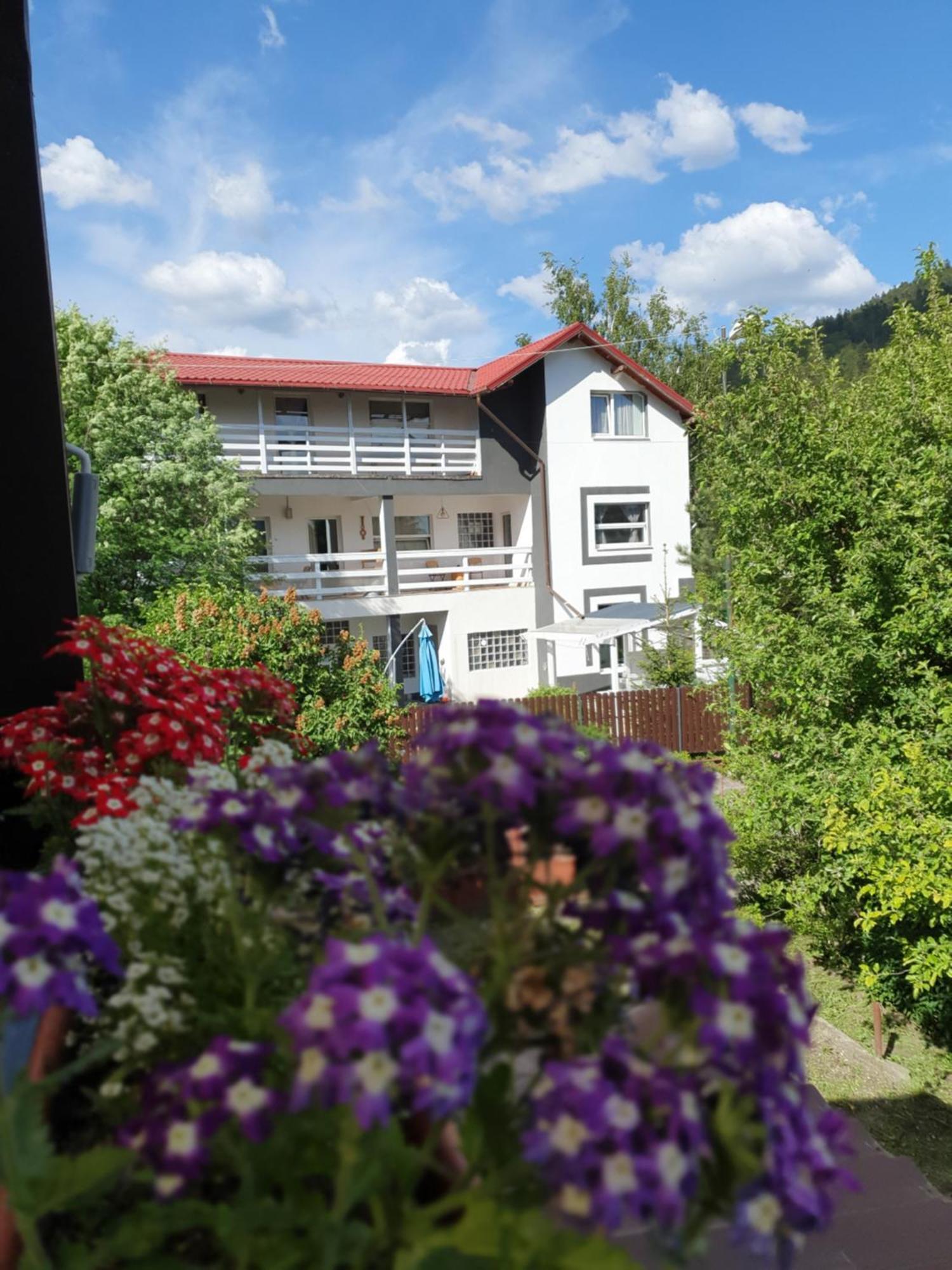 Hotel Casa David Buşteni Exteriér fotografie