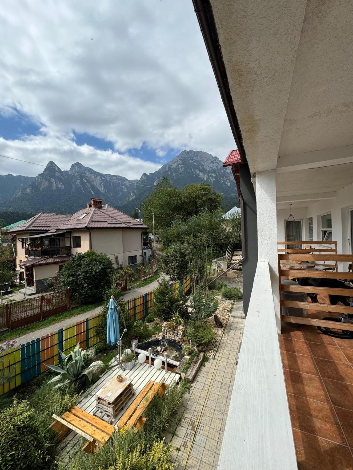 Hotel Casa David Buşteni Exteriér fotografie