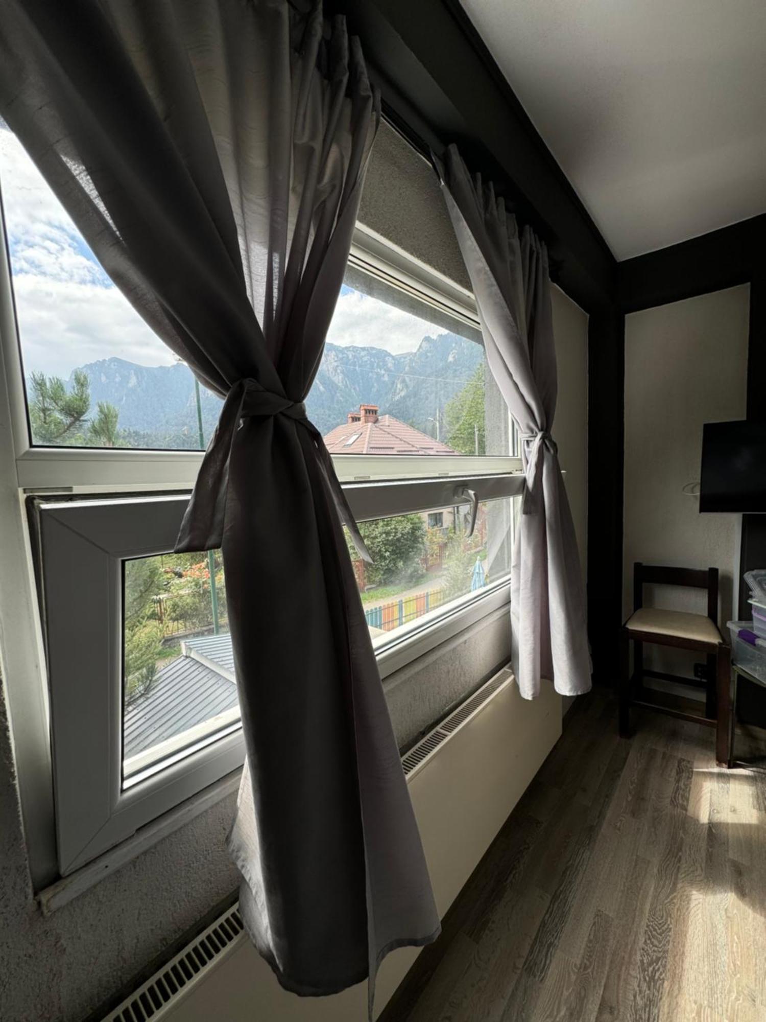 Hotel Casa David Buşteni Exteriér fotografie