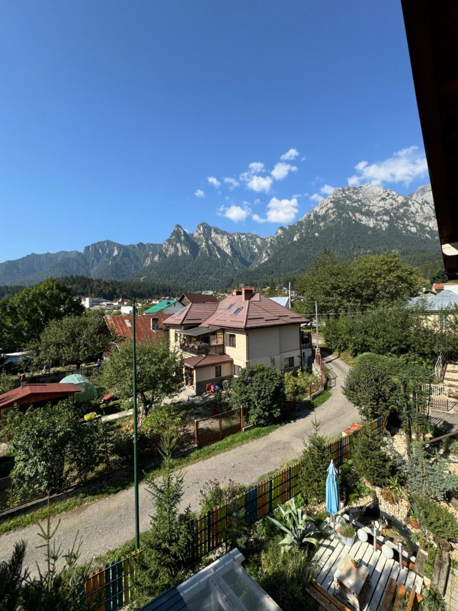 Hotel Casa David Buşteni Exteriér fotografie