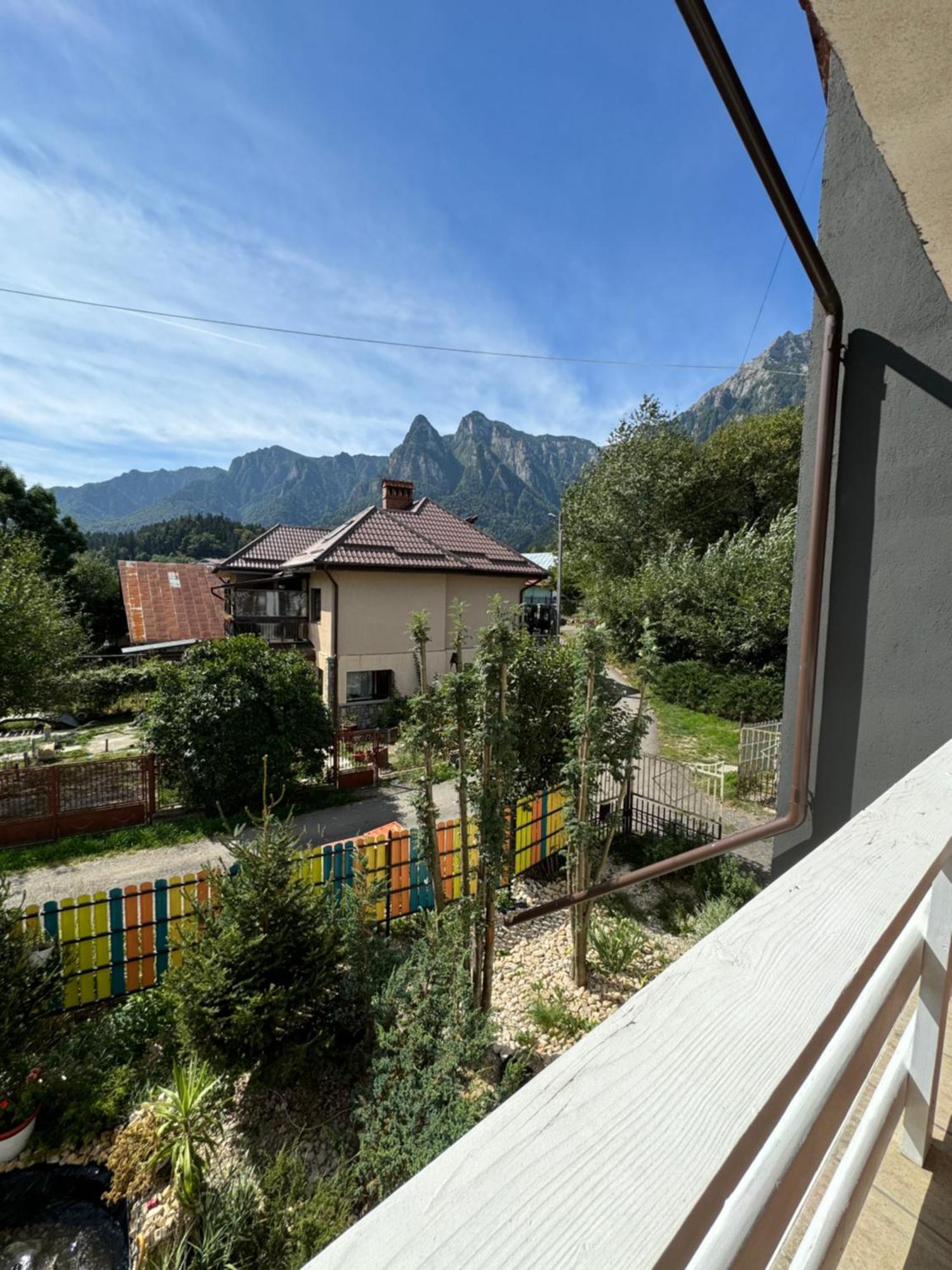 Hotel Casa David Buşteni Exteriér fotografie