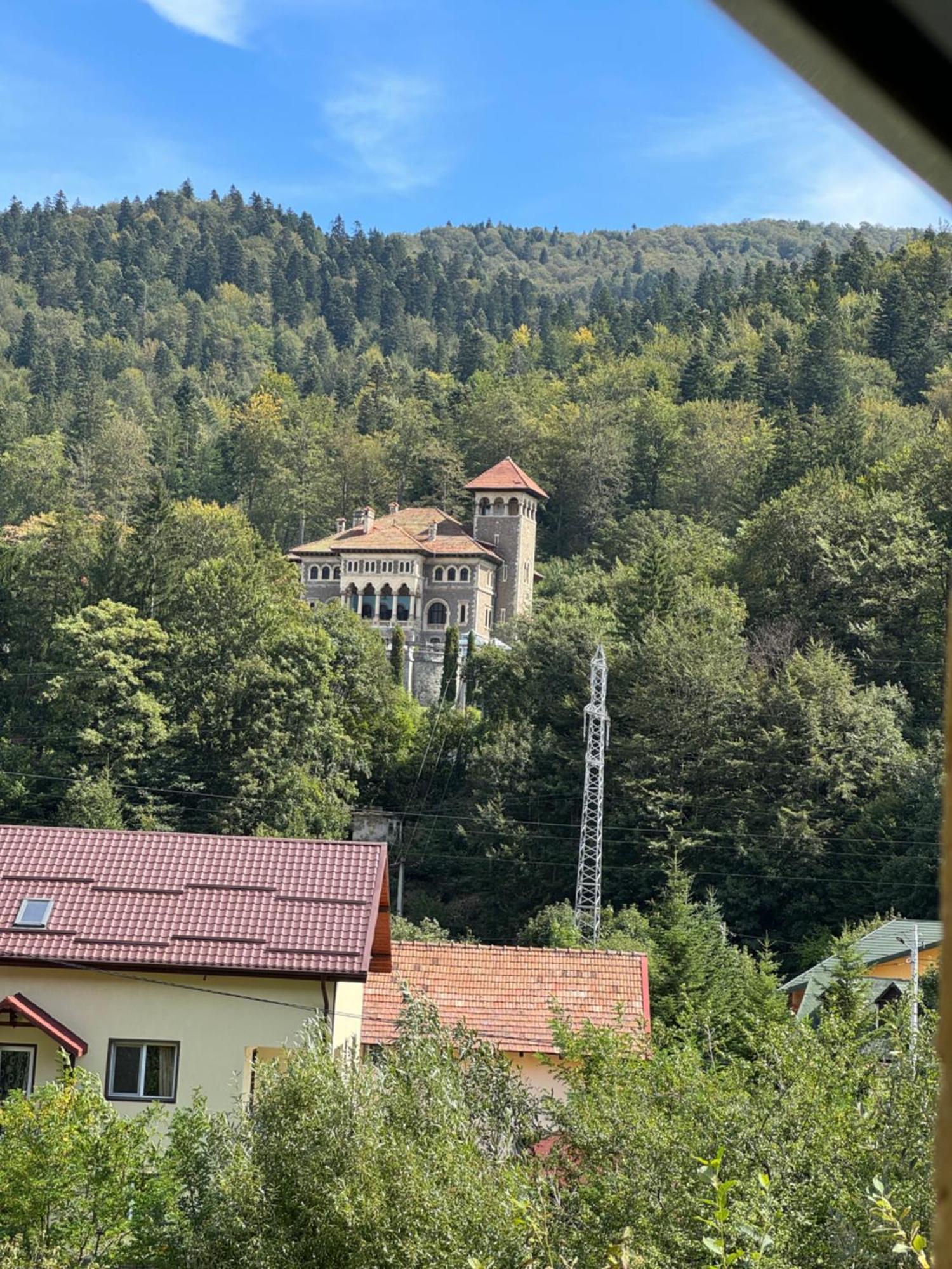 Hotel Casa David Buşteni Exteriér fotografie