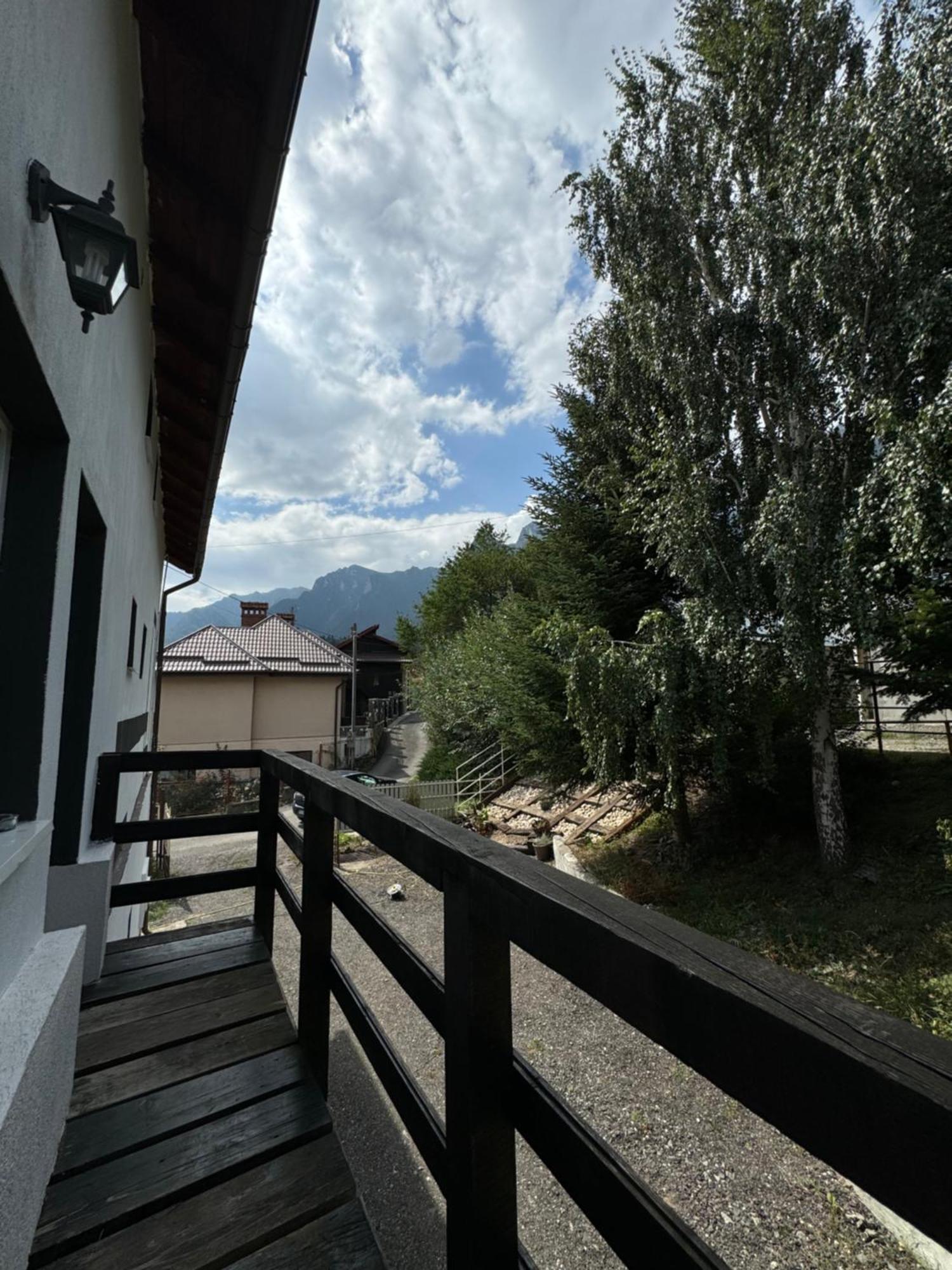 Hotel Casa David Buşteni Exteriér fotografie