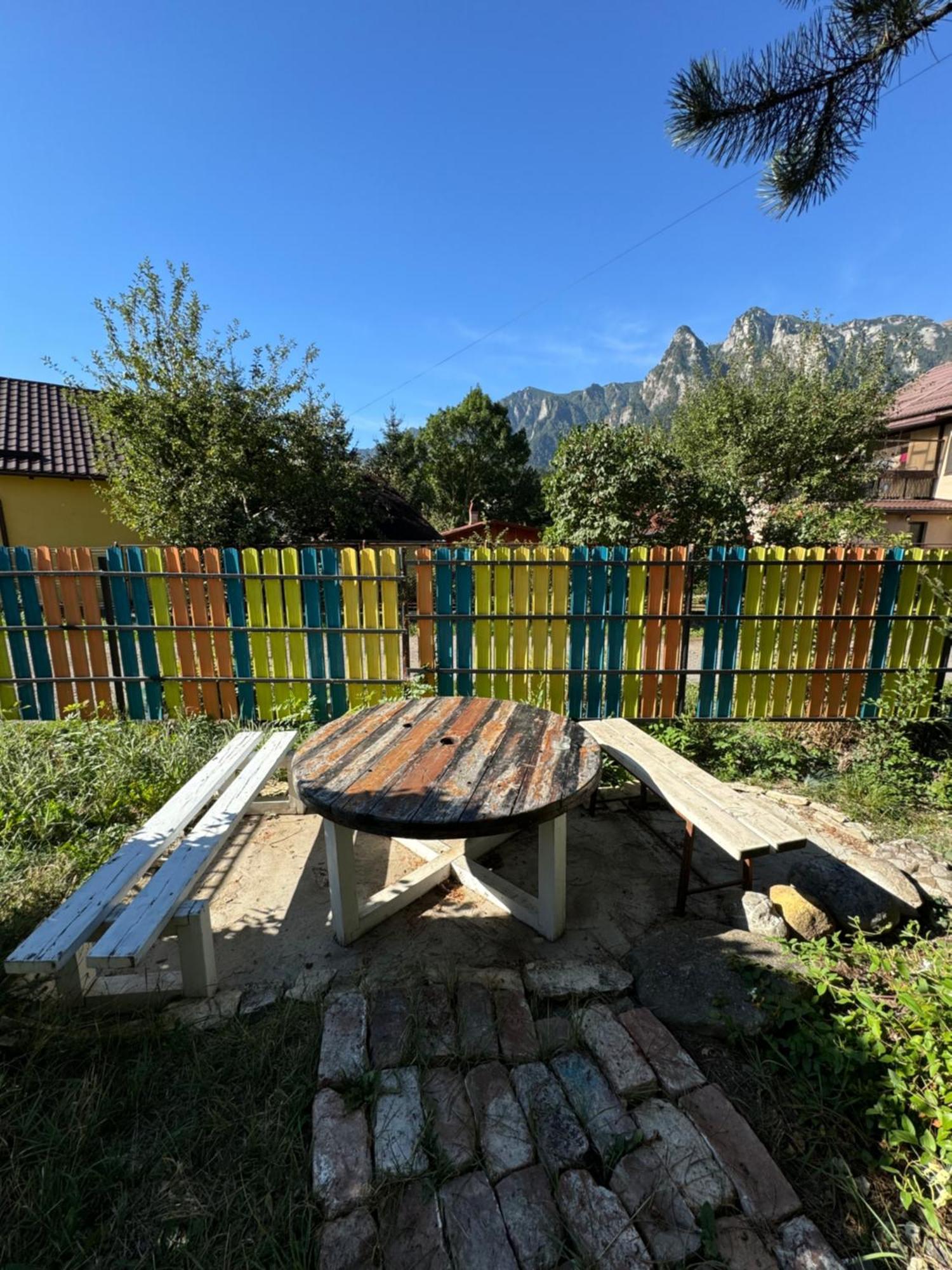 Hotel Casa David Buşteni Exteriér fotografie