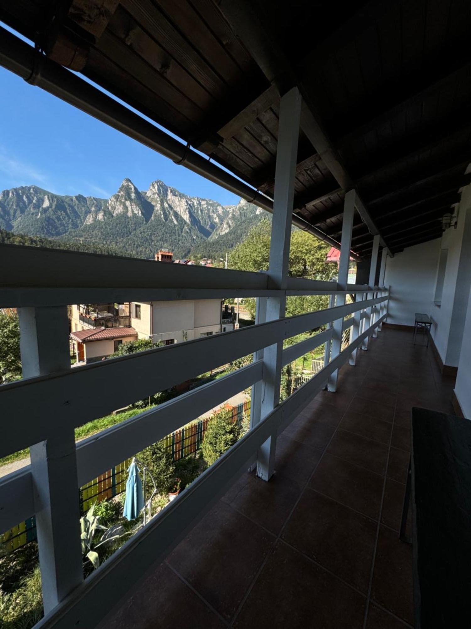 Hotel Casa David Buşteni Exteriér fotografie