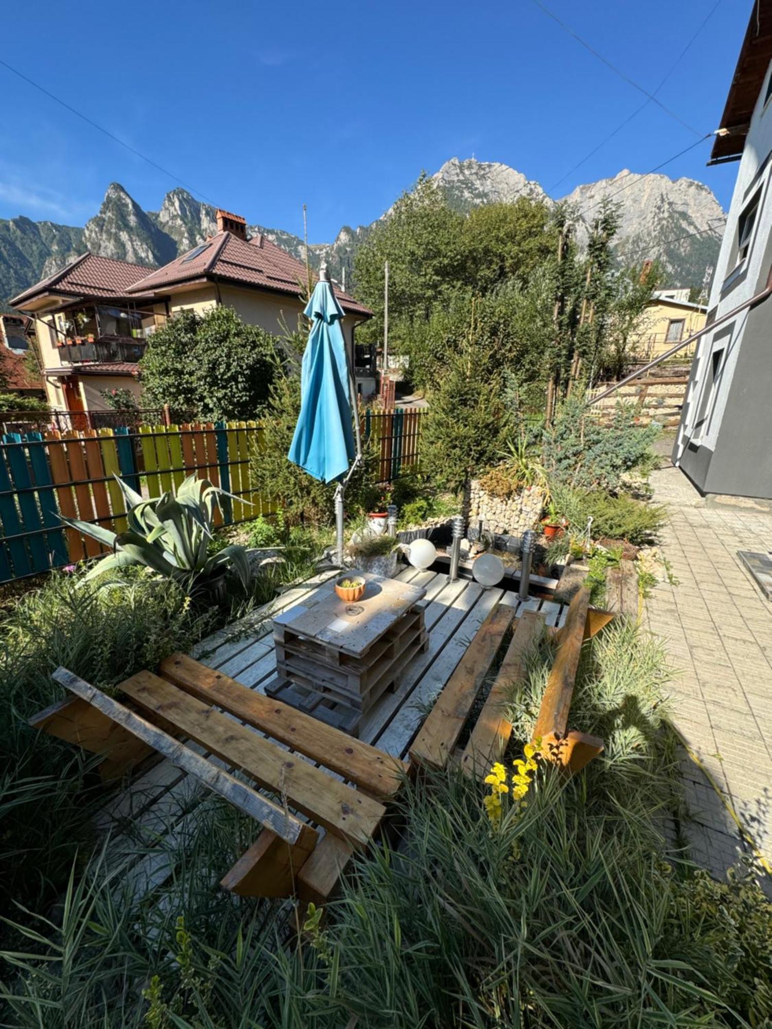 Hotel Casa David Buşteni Exteriér fotografie